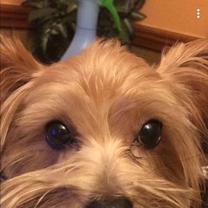 Meet your Posher, Ariana